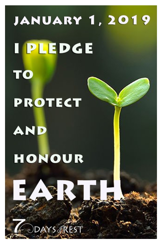 protect and honour earth xr.jpg