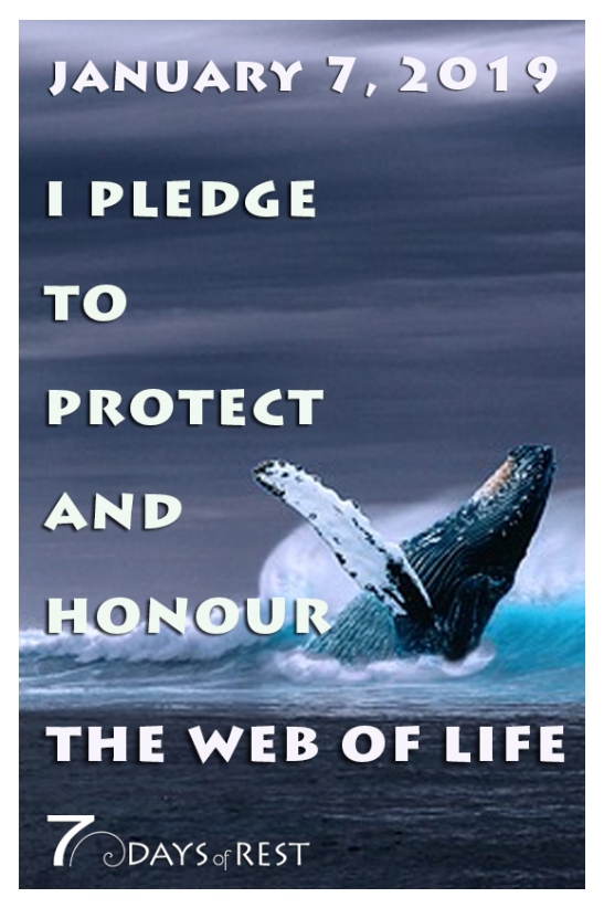 protect and honour the web of Life xr.jpg