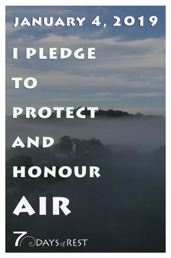 protect and honour AIR 2 xr.jpg